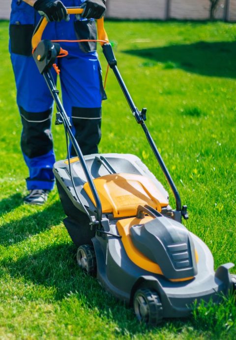 Mowing a lawn with a petrol lawnmower