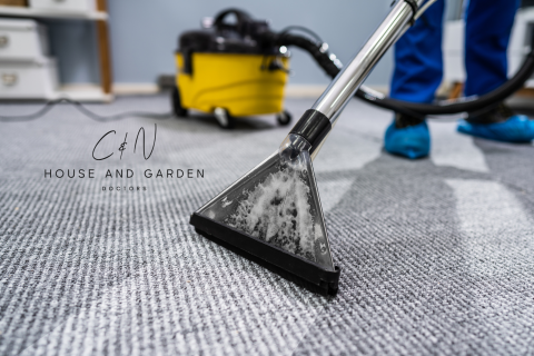 Carpet and Upholstery Cleaning