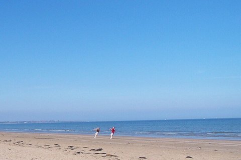 Cleaning and Gardening in Portmarnock