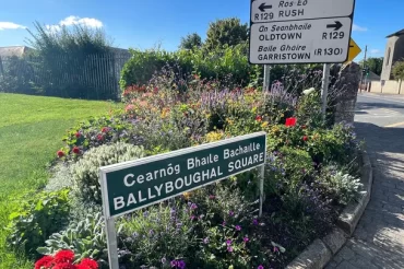 Cleaning and Gardening in Ballyboughal